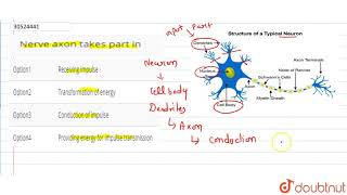 Nerve axon takes part in [upl. by Akemad]