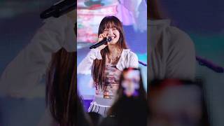 츄  꽁꽁 얼어붙은 한강 위로 고양이가 걸어다닙니다 CHUU FanCam 240923 시립대 [upl. by Terrye]