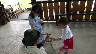 4k Tarzan and kids in faunaland hancol jakarta [upl. by Atilamrac]