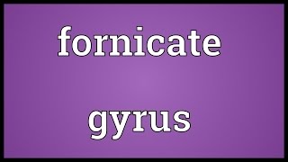 Fornicate gyrus Meaning [upl. by Aedni543]