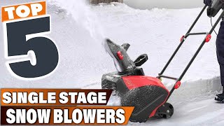 Winter MustHave 5 Best Single Stage Snow Blowers [upl. by Tema947]