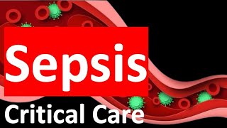 Sepsis 2024  Definition Pathophysiology Management and Prognosis [upl. by Peggir457]