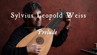 Sylvius Leopold Weiss Prelude in F major on baroque lute [upl. by Nnaul]