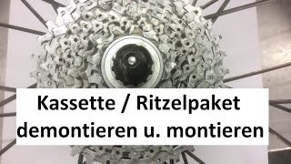 Shimano Kassette  Ritzelpaket wechseln  demontieren und montieren [upl. by Ayrotal]