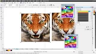 Index Color Separations in CorelDRAW [upl. by Elbertina333]