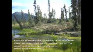 Permafrost Gates of the Arctic [upl. by Atsirak]