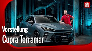 Cupra Terramar  Vorstellung mit Sebastian Friemel [upl. by Dannie]