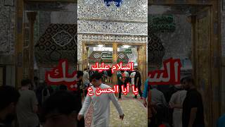 Ziarat Imam ali as molaali najaf ziyarat shortsfeed shortvideo ytshorts shortsviral yt dua [upl. by Anihta633]