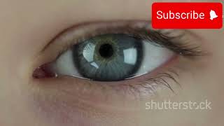 How Human eye Work [upl. by Annahsit693]