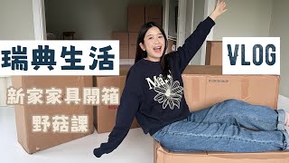 瑞典生活Vlog｜做蛋糕出了意外😭 [upl. by Etteiluj868]