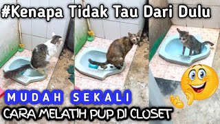 cara mudah melatih kucing berak di toilet  easy way to train a cat to defecate in the toilet 😻 [upl. by Iain]