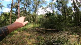 Land Cleared West Plymouth DeLand homeless [upl. by Ahsino]