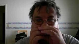 How to play Stormy Monday on the blues harp pt1 [upl. by Alboran]