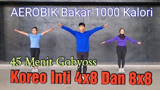 Senam Aerobik Gobyoss Bakar 1000 Kalori [upl. by Collbaith355]