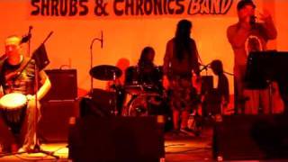 reggae band SHRUBS playing their original quotsweet candy love at negros philippines [upl. by Anette]