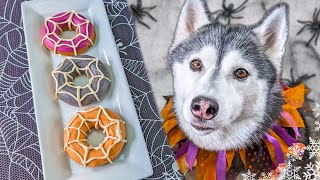 Spooky Spiderweb Donut Dog Treats 🕸️DIY Halloween Dog Treats [upl. by Ahseihs398]