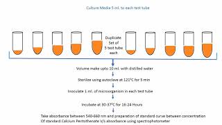 Microbial Assay of Calcium Pantothenate Vitamin B5 [upl. by Yenttirb]