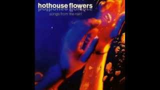 Hothouse Flowers  Stand Beside Me [upl. by Philemol]