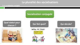 La pluralité des socialisations 34 [upl. by Ynohta431]