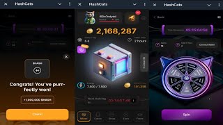 HashCats  New Feature Helps You Earn More HASH Coins Faster  Come Join Me  Telegram Crypto Bot [upl. by Tillford86]