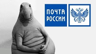 Как пожаловаться на Почту России [upl. by Baiel]