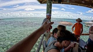 Celebrity Cruise To Mexico Cayman Islands and The Bahamas [upl. by Concha718]