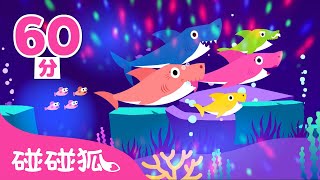 Baby Shark EDM 60分鐘版本  連續播放  Baby Shark Remix  碰碰狐PINKFONG [upl. by Hollerman]