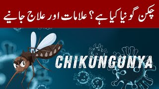 What is Chikungunya Know the Symptoms and Treatment [upl. by Heyward]