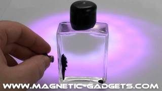 Nano Drop FerroFluid Desk Toy available at wwwmagneticgadgetscom [upl. by Wye504]