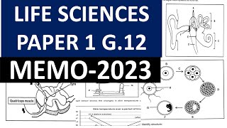 2023 MEMO LIFE SCIENCES P1 GARDE 12 2023 FINAL EXAMS 2023THUNDEREDUC BY MSAIDI memo [upl. by Ayhdnas]