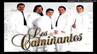 Los caminantes cantina mix [upl. by Coltun]