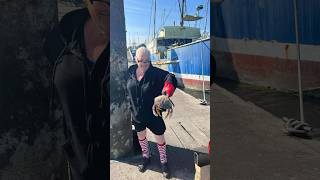 Winchester Bay Crabbing Report 080724 Oregon  MASSIVE KEEPERS  crab crabbing fishing seafood [upl. by Cousin]