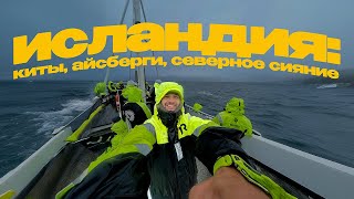 VLOG 3 – ИСЛАНДИЯ  Киты Водопады Северное Сияние [upl. by Rehotsirk]