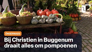 Óngerwaeg in Buggenum bij een pompoen [upl. by Titus]