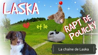 Laska et le rapt de Pouicky film 31 [upl. by Peregrine492]