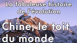 La fabuleuse histoire de lévolution  Chine le toit du monde [upl. by Hubble]