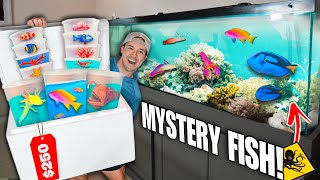 250 SEA CREATURE Mystery FISH BOX For My SALTWATER AQUARIUM shopping spree [upl. by Eiryt]