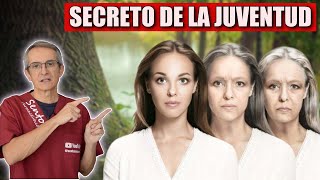 COLÁGENO HIDROLIZADO el SECRETO OCULTO de la JUVENTUD [upl. by Toland143]