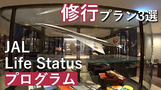 【JAL新ステイタスプログラム修行】JAL Life Status プログラム 修行プラン3選を紹介 [upl. by Ayikan]