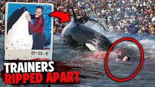 This Killer Orca DISMEMBERED 3 People In Front of Audience At Seaworld [upl. by Reiniar80]