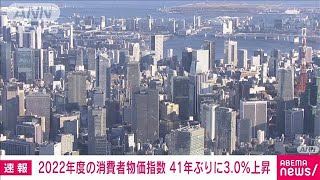 【速報】2022年度の消費者物価指数 41年ぶりに前年度比で30％上昇 総務省2023年4月21日 [upl. by Ruggiero]