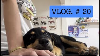 VLOG 20 Primer Vacuna  SALE MAL [upl. by Setiram]