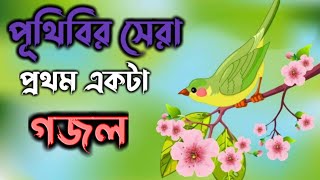 পূথিবির সেরা গজল ।। Bangla Gazal Gazal bangla শিল্পী মিরাজুল ইসলাম।। বছরের শেষের সেরা বাছাই করা গজল [upl. by Selym960]