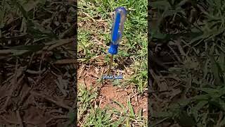 How to Test for Soil Compaction at Home for Free [upl. by Grand]