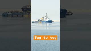 TUGS shortvideo sealife sea ship [upl. by Norb]