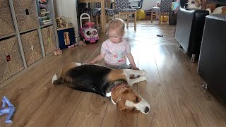 Cute baby is so gentle with her dogs [upl. by Oilla]