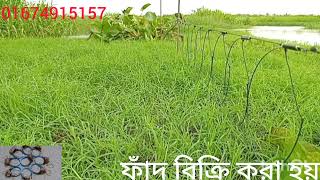 ডাহুকডাক পাখির ফাঁদ বিক্রি করা হয়। মোবাইল 01674915157 [upl. by Ynobe]