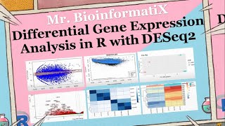 Differential Gene Expression Analysis in R with DESeq2 Bioinformatics Tutorial for Beginners [upl. by Ruyam]