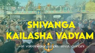 Shivanga Kailasha Vadyam Offered to Arulmigu Sri Valeeswarar temple l Sevur l Avinashi 🔱 [upl. by Ahseram130]