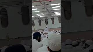 Ulama e Deoband Naat shortvidos shortviral [upl. by Lamrert946]